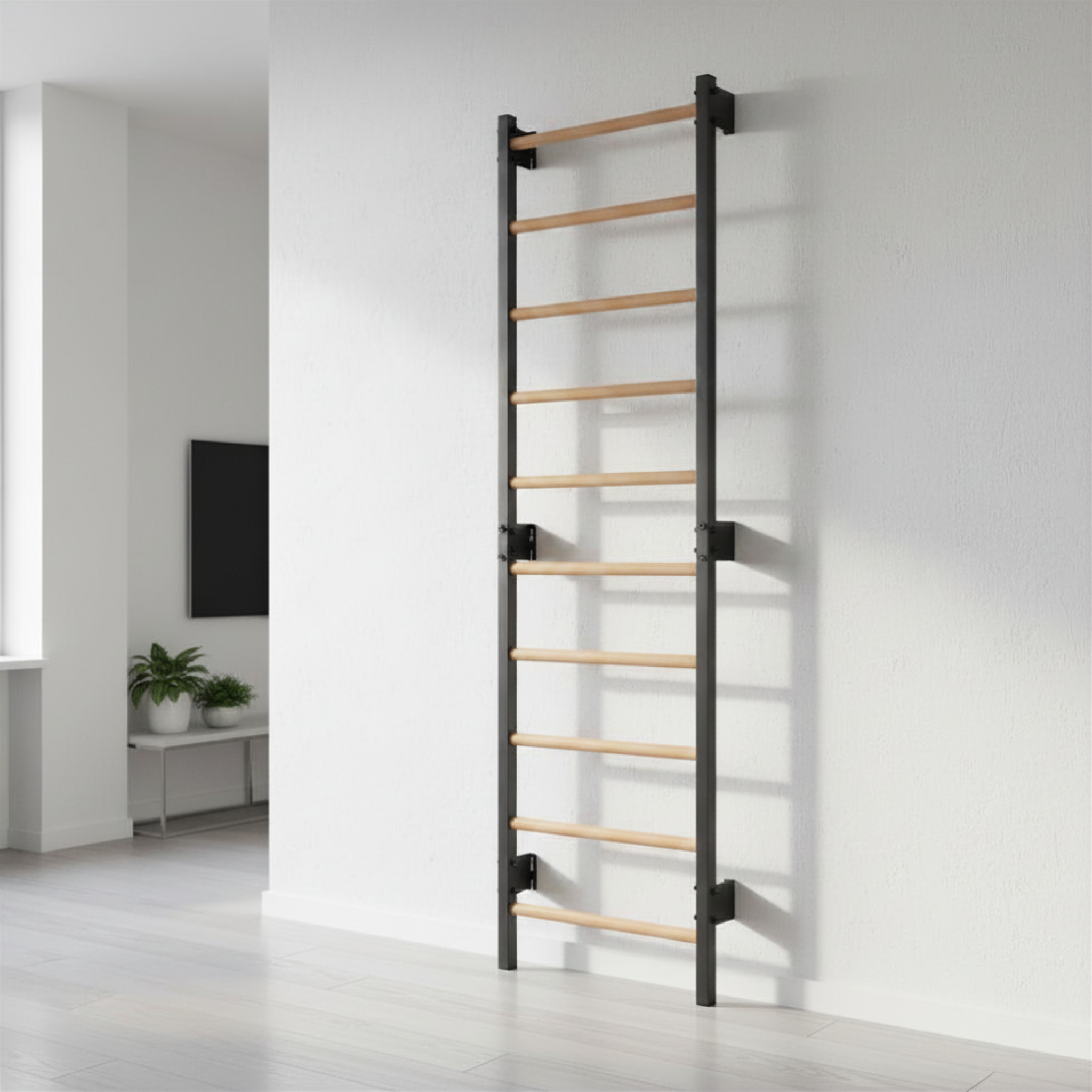 Sprossenwand STEEL 1 Graphit – Stahl & Buchenholz – weitere Produktansicht 4 – RINAGYM