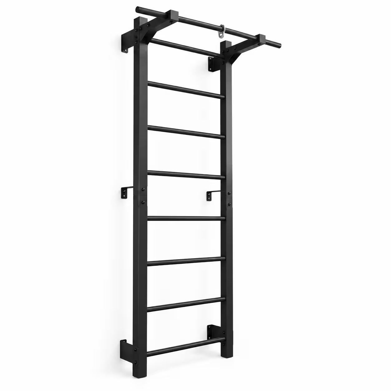 Échelle murale métallique RINAGYM Steel M 213 cm avec barre de traction, noire