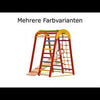 Structure d'escalade intérieure compacte – Échelle murale, filet & anneaux de gymnastique – Pour enfants (dès 3 ans, sous surveillance) & adultes – EN 913 – Rinagym